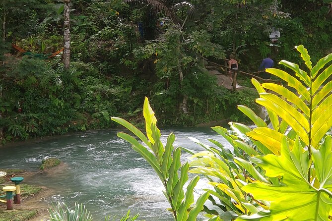 Dunn's River Falls & Blue Hole Tour from Montego Bay - Scotchies Drax Hall for jerk food