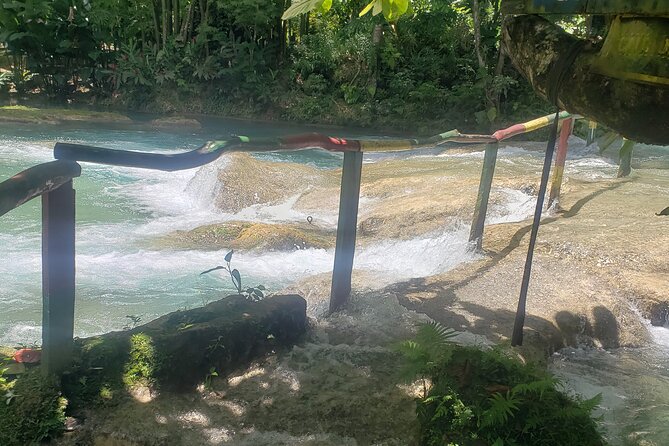 Dunn's River Falls & Blue Hole Tour from Montego Bay - Who will enjoy this tour most