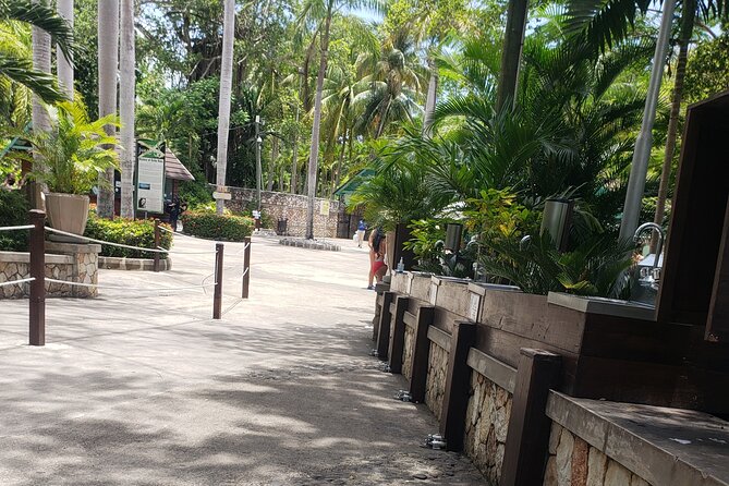 Dunn's River Falls & Blue Hole Tour from Montego Bay - Blue Hole: the energetic first stop