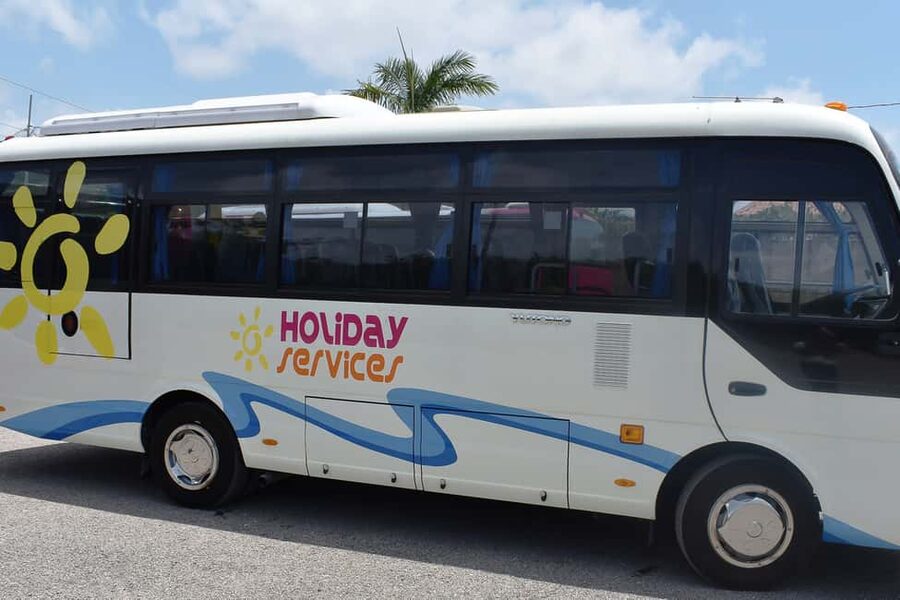 Dunn's River Falls, Bob Marley 9 Mile - Optional Lagoon Tour - The driver can make or break a long day