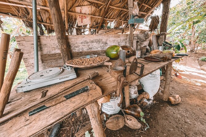 ECO TOUR Playa El Limon (Excursion Multi-activites) - Lunch at Rancho La Cueva