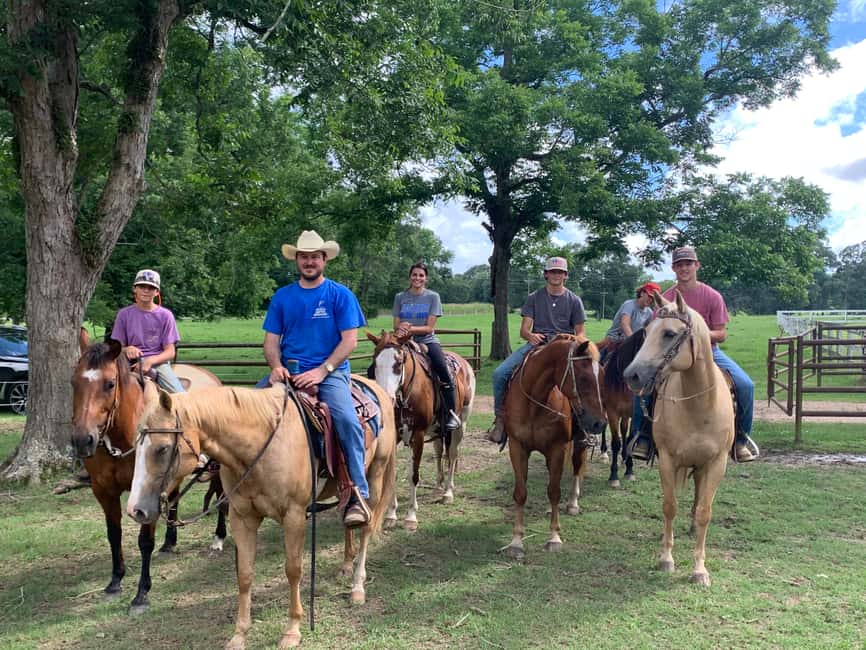 El Limón: Waterfall Horseriding Tour with Lunch - The Horse Ride Is the Main Event
