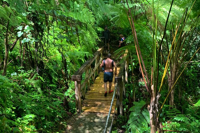 El Yunque National Forest and Luquillo Beach Tour - Key points to know before booking