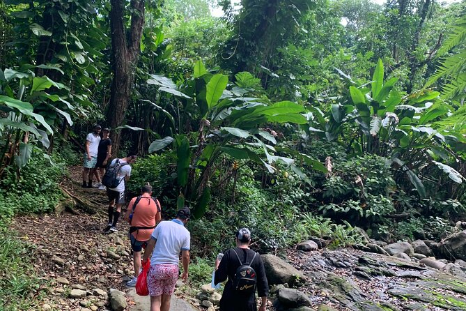 El Yunque National Forest and Luquillo Beach Tour - A practical six-hour plan from San Juan