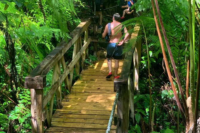 El Yunque National Forest and Luquillo Beach Tour - The Puente Roto walk and the Rio Mameyes