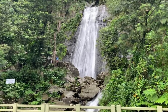 El Yunque National Forest and Luquillo Beach Tour - La Coca Falls, a quick but worthwhile stop