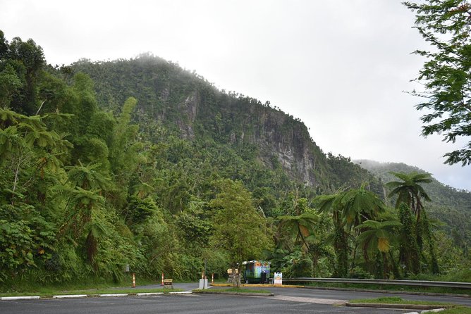 El Yunque Rainforest Guided Day Tour from San Juan - What this five-hour El Yunque outing is really like