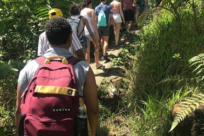 El Yunque Rainforest Guided Day Tour from San Juan - Lunch adds a local stop, but it is not included