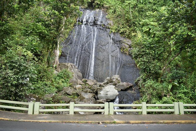 El Yunque Rainforest Guided Day Tour from San Juan - Is $85 a fair price?