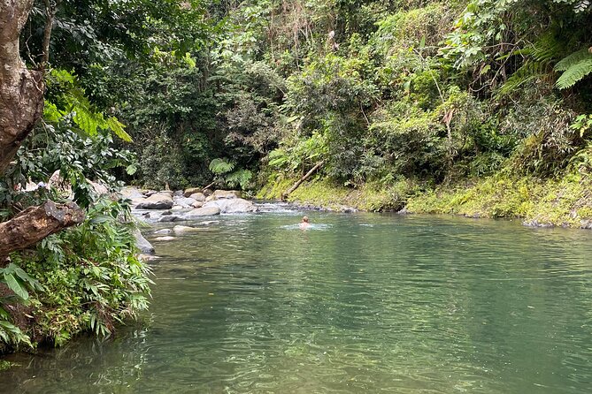 El Yunque Rainforest Guided Day Tour from San Juan - Who will enjoy this tour most?