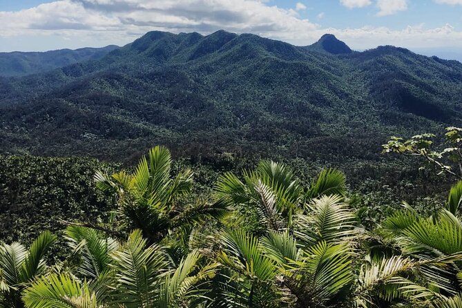 El Yunque Rainforest Waterslides and Luquillo Beach w/ Transport - What this $49.99 day actually delivers