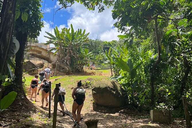 El Yunque Waterslide and Waterfall Tour with Food and Photos - Leaving San Juan for El Yunque