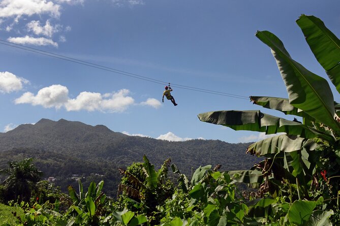 El Yunque Ziplining in Puerto Rico - Quick reasons to consider this rainforest tour