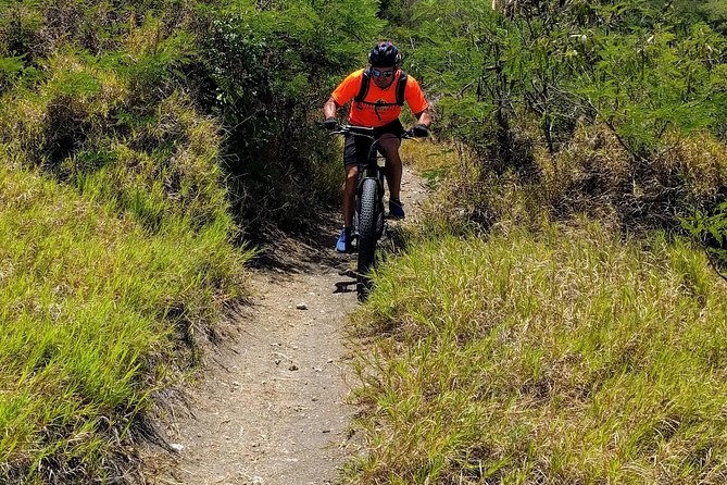 Electric Bike Bajan Sightseeing Experience (Transport Included) - Guides who make the ride more than a bike rental