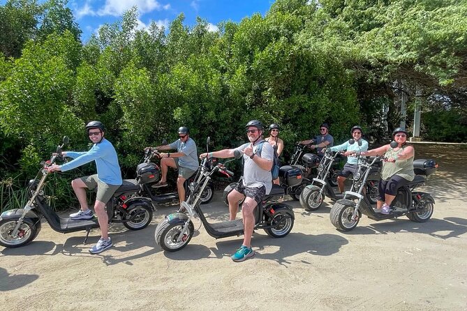 Electric Scooter Island Tour in Aruba (1 or 2-seater) - Bubali Bird Sanctuary: a quiet change of pace
