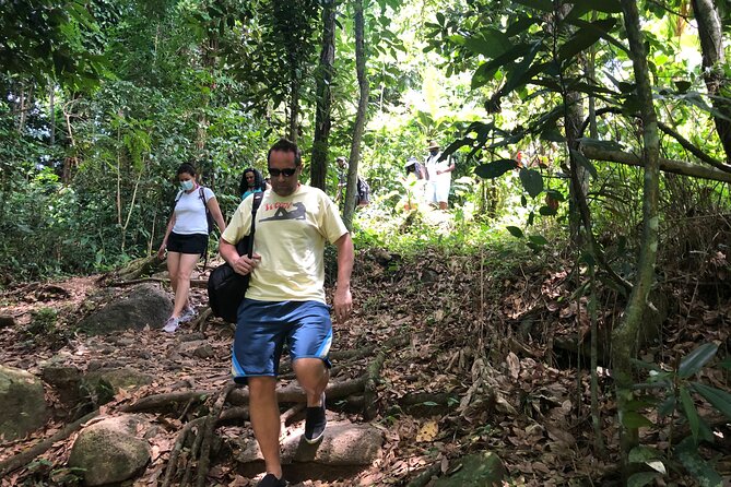Epic Guided Adventure in El Yunque National Rainforest & Beach - Guides, safety, and the feel of the day