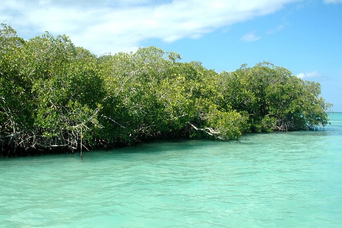 Exclusive Adventure in Saona: Small Group - Catuano offers the day’s best water activity