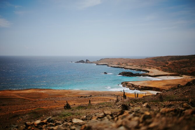 Exclusive Aruba UTV Tours - Why the small-group setup matters on Aruba’s rough coast