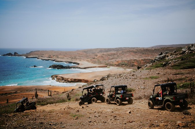 Exclusive Aruba UTV Tours - Andicuri, Shark Bay, and the wilder side of the island