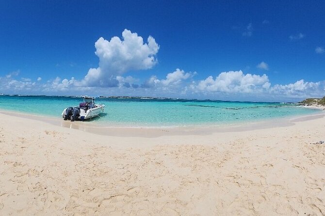 Exclusive Supreme Snorkeling Tour - Stingrays are wild animals, not a staged show