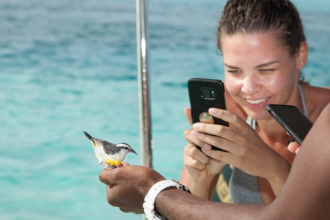 Experience The Exumas and the World Famous Swimming Pigs - Leaving Paradise Island at 7:30 am
