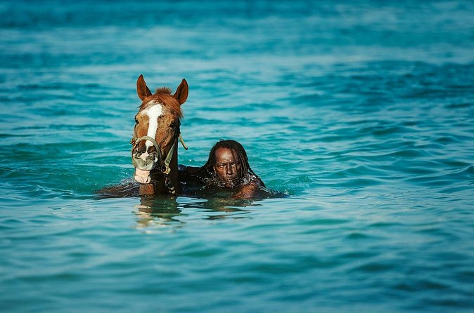 Experience the Swimming Horses at Carlisle Bay & the Garrison - A short drive through the Barbados Garrison