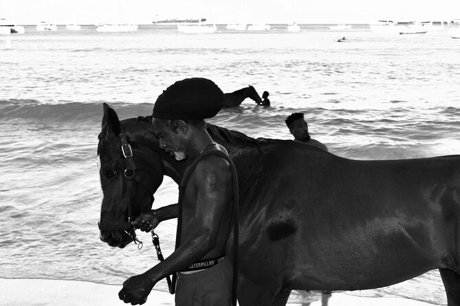 Experience the Swimming Horses at Carlisle Bay & the Garrison - Liam and the value of a small group