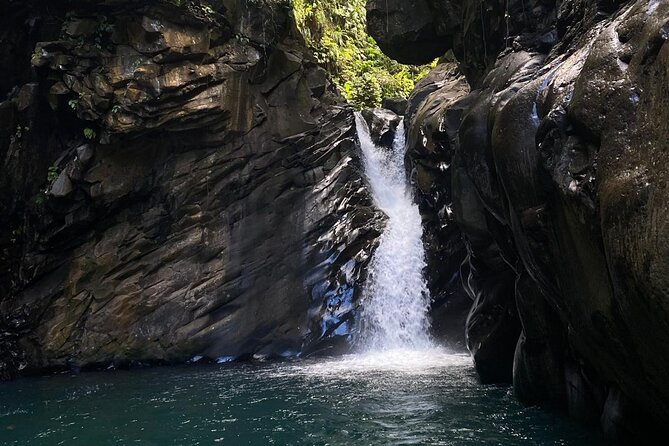 Explore Authentic Guadeloupe with a Local Multilingual Guide - Day five: Dawn on the water, ziplining, and Zoo des Mamelles