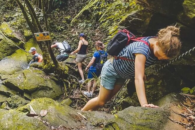 Explore Authentic Guadeloupe with a Local Multilingual Guide - Day one: La Soufrière, hot springs, and Basse-Terre rum
