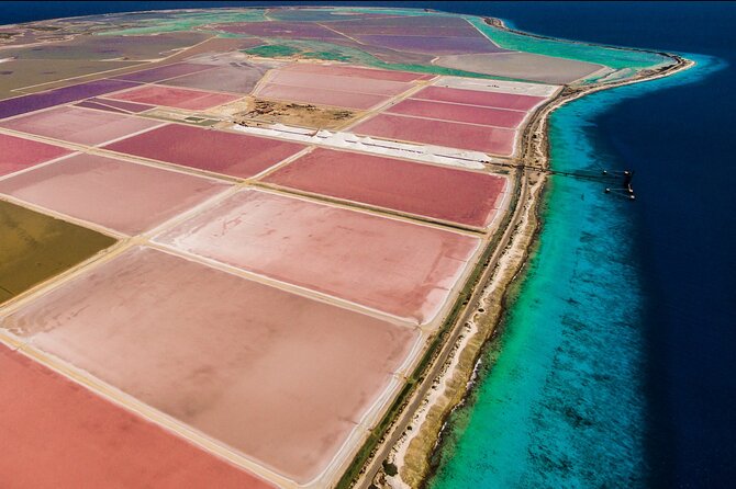 Explore Bonaire: North & South Tour - Why this three-hour route works for a first look at Bonaire