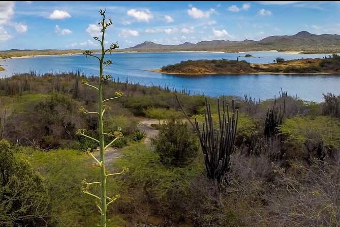 Explore Bonaire: North & South Tour - The van and group size matter more than the sales pitch