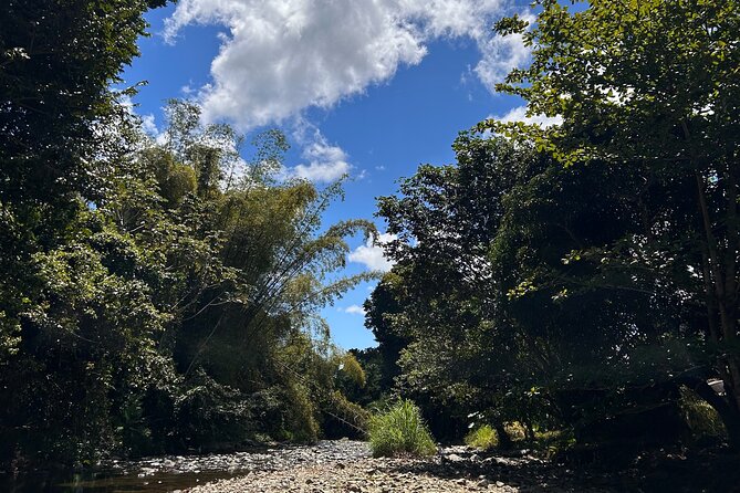 Explore El Yunque: Hiking, Swings & Waterslide (Small Group) - What the guides add to the experience