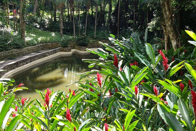 Explore Puerto Plata's Best & Cable Car - Shore Excursion - Botanical gardens and Christ the Redeemer