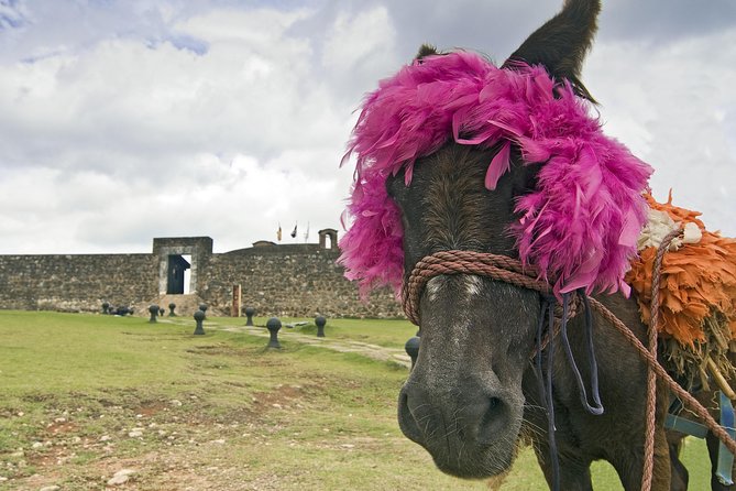 Explore Puerto Plata's Best & Cable Car - Shore Excursion - Puerto Plata’s historic center in a short visit
