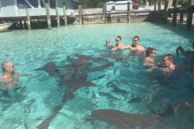 Exuma Day Away - Original Swimming Pigs Excursion - Why this Exuma day trip is special