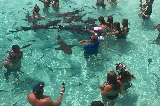Exuma Day Away - Original Swimming Pigs Excursion - Sandbars, scenery, and the Exuma Cays