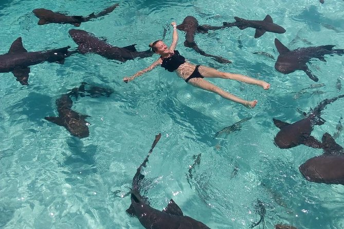 Exuma Day Away - Original Swimming Pigs Excursion - Lunch at Black Point Yacht Club