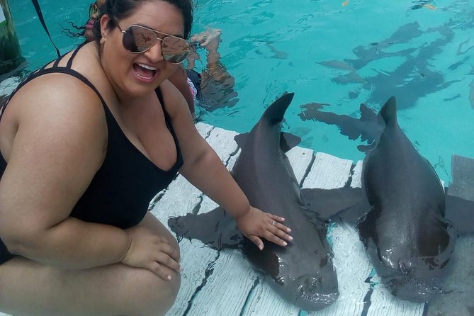 Exuma Day Away - Original Swimming Pigs Excursion - Is the $438 price fair?