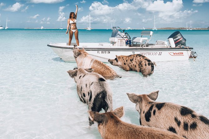 Exuma Elite Escape: Luxury Fly-In Pig Beach Adventure - 7 Stops - Six hours, seven distinctly different stops
