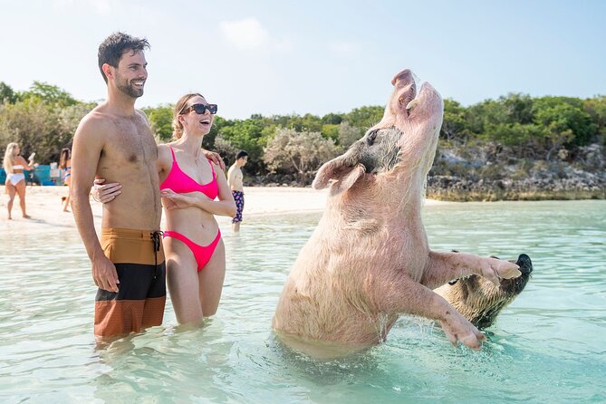 Exuma Elite Escape: Luxury Fly-In Pig Beach Adventure - 7 Stops - Great Guana Cay and its hungry iguanas