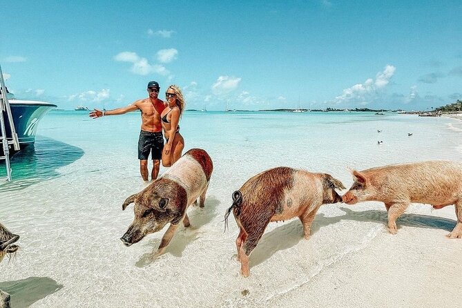 Exuma Full Day Swimming Pigs Group Boat Tour - What the Nassau to Exuma boat day is really like