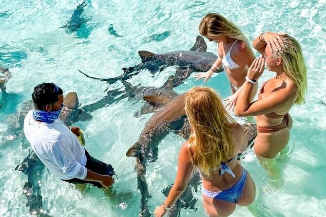 Exuma Full Day Swimming Pigs Group Boat Tour - Allen Cay and the rock iguanas
