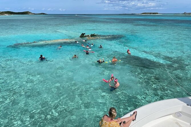 Exuma Island Hopping Swimming Pigs Tour with Lunch from Nassau - Compass Cay and the nurse sharks