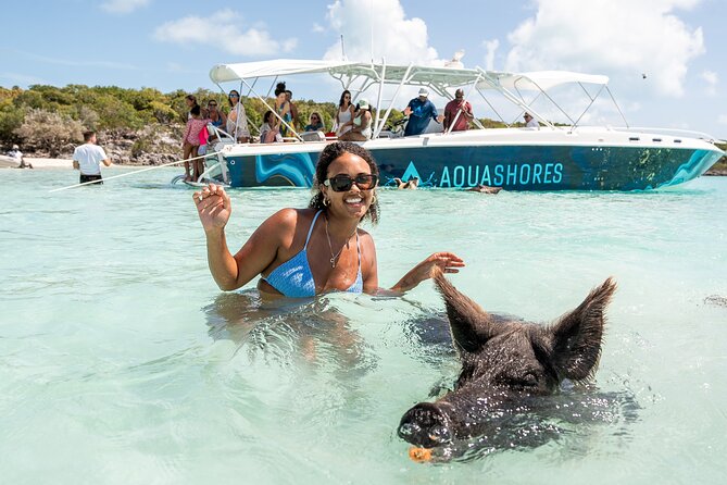Exuma Powerboat Tour from Nassau with Swimming Pigs - The sandbar: the quiet star of the trip