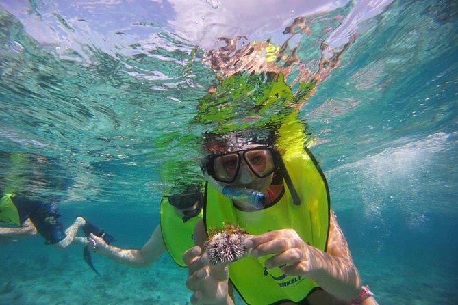Fajardo Afternoon Snorkeling Adventure Tour - Why this afternoon trip works well in Fajardo