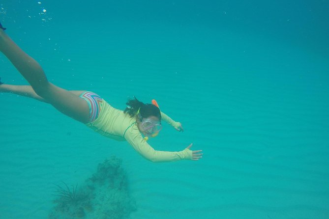 Fajardo Afternoon Snorkeling Adventure Tour - The crew and the safety approach
