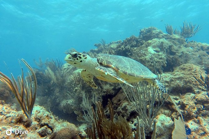 Fajardo Afternoon Snorkeling Adventure Tour - The boat ride to Cayos de la Cordillera