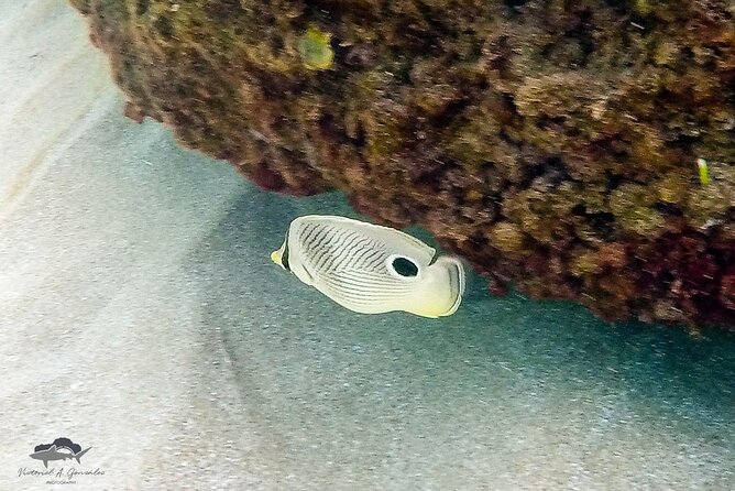 Fajardo, Puerto Rico: Morning Snorkeling Beach Tour - The boat ride and the sea conditions