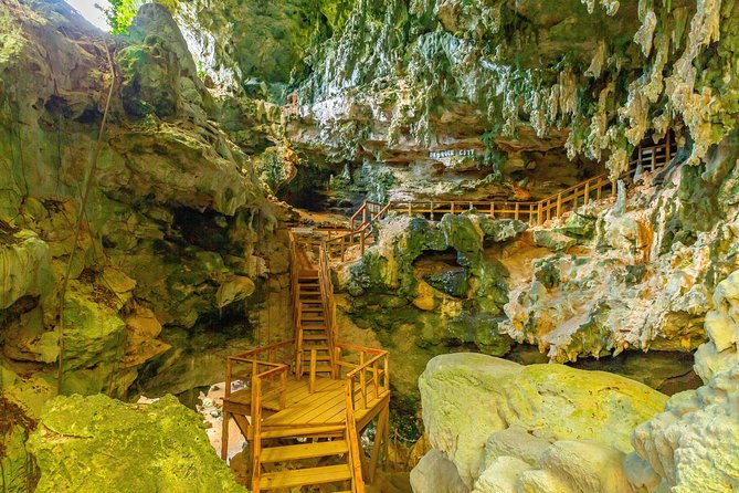 Family Buggy Adventure in Punta Cana - What the $50 Price Really Includes