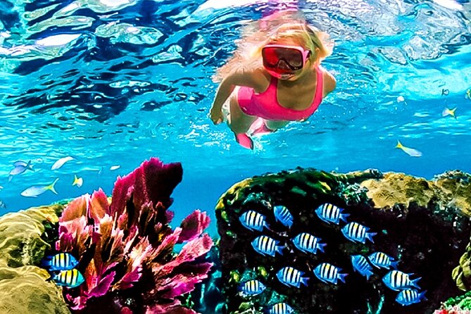 Family Fun-Snorkeling with Lunch Stop from Montego Bay - Meeting the boat and getting ready